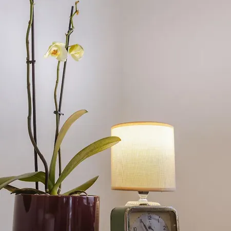 Babhouse Casa Abelhas - Coracao Do Douro *