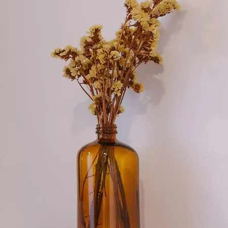 Babhouse Casa Abelhas - Coracao Do Douro شقة