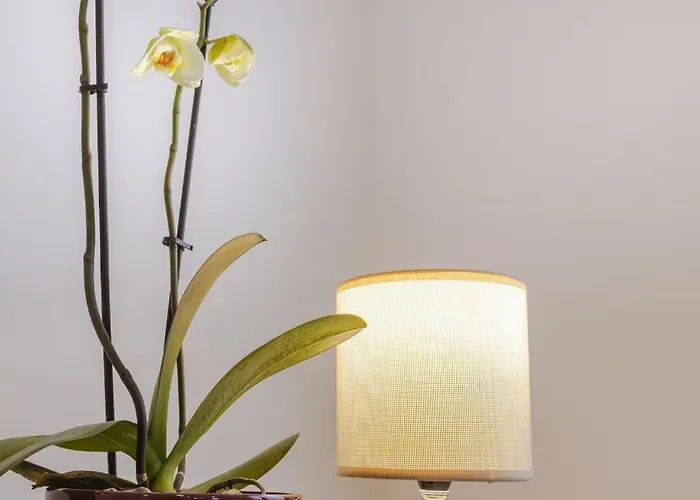 Babhouse Casa Abelhas - Coracao Do Douro *