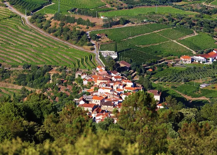 Babhouse Casa Abelhas - Coracao Do Douro São João da Pesqueira