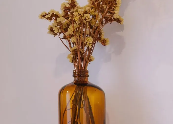 Babhouse Casa Abelhas - Coracao Do Douro Apartmán